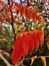 IMG_8712.webp