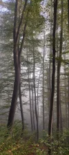 1000025807.webp