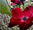 IMG_8722.webp