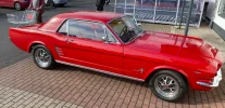 Mustang 66.2024.webp