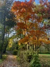 IMG_8736.webp