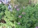 DSCN9999.webp