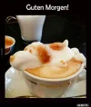 9 guten morgen.webp