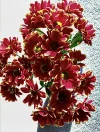 IMG_8790.webp
