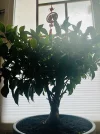 IMG_8805.webp