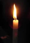 1730488146313.webp