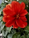 IMG_8826.webp