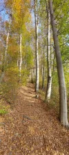1000027059.webp