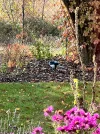 IMG_4415.webp