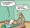 ! 1 a intelligenz.webp