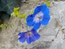 DSCN6620.webp