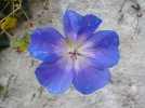 DSCN6619.webp