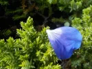 DSCN6621.webp