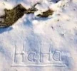 !2 Schnee.webp