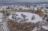 Kirchzarten-Storchennest_Tauben_22Nov2024_15Uhr57.webp