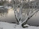 DSCN6676.webp