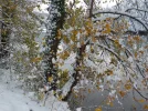 DSCN6680.webp