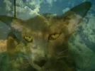 lm2m3vj169u.webp