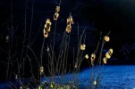 IMG_8973.webp