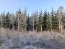 20241205_112247.webp