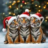 1735058067996.webp