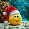 1735062198584.webp