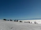 DSCN6743.webp