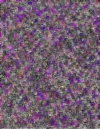 2024-12-27_22-53-05_1566.webp