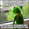 1735342174387.webp