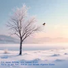 1735548686958.webp