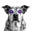1736357743426.webp