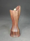 DSCN3661.webp