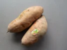DSCN6771.webp