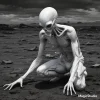 magicstudio-art(77).webp