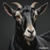 magicstudio-art(94).webp