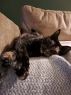20241231_213618.webp