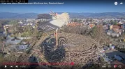 Kirchzarten_2025-01-18_Ulla_12Uhr19.webp