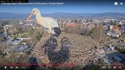 Kirchzarten_2025-01-18_Ulla_12Uhr25.webp