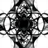 1737457062655.webp