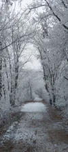 1000031869.webp
