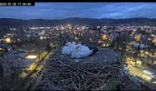 Kirchzarten_Ulla-u-Edgar_ Webcam_2025-01-28.webp