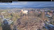 Kirchzarten_Edgar_ Webcam_2025-01-29.webp