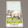 r7AfXR9HkR.webp