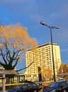 20250129_155810.webp