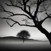 1738308135447.webp