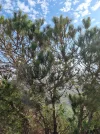 1000000081.webp