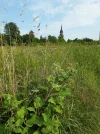 20210724_175744.webp