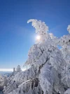 20250218_131723.webp