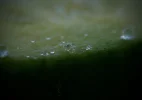 FullSizeRender.webp
