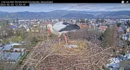 Kirchzarten_Edgar_Webcam_2025-02-20_12Uhr03.webp